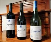 I tre vini degustati