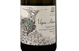 L’etichetta di Vigna Astroni