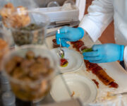 Chef all’opera in un cooking show – ph Vincenzo Ganci, Migi Press