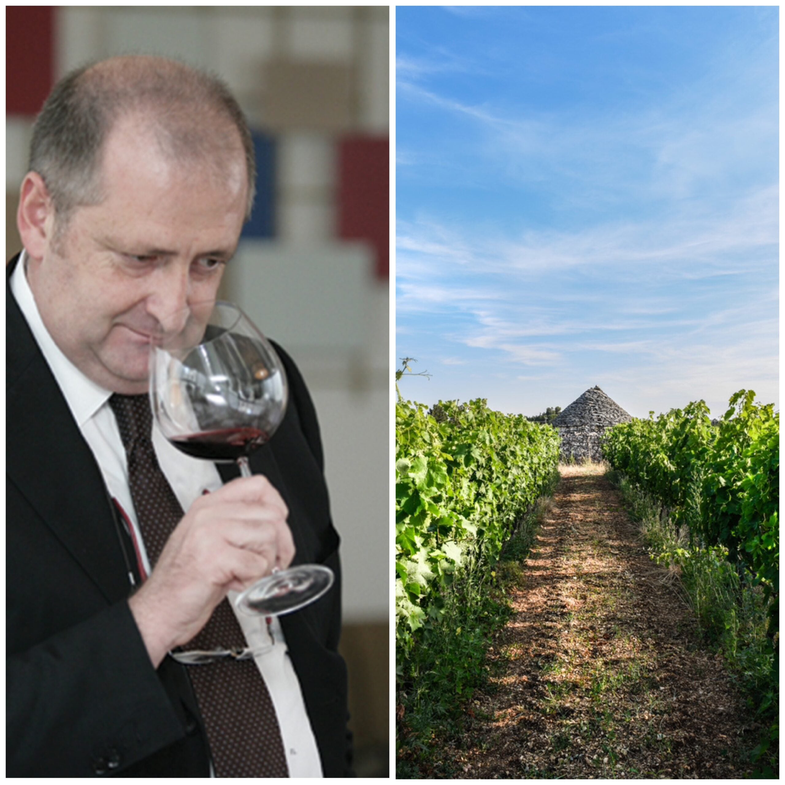 Francesco Liantonio, presidente Torrevento