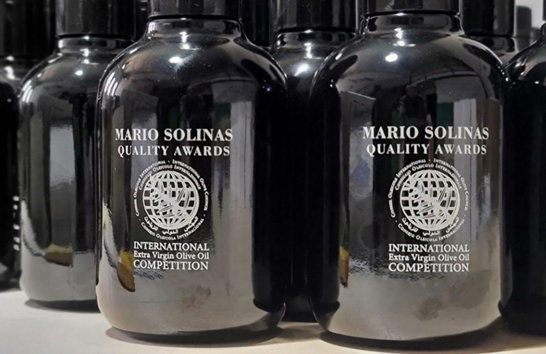 Mario Solinas Quality Award