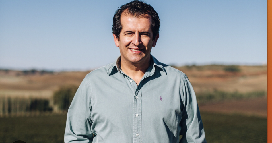 Saverio Notari, Compagnia del Vino