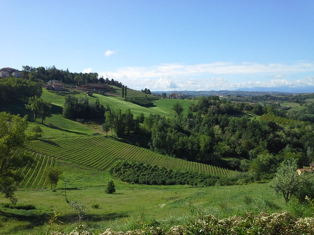 Il comune di Monforte d’Alba in Piemonte