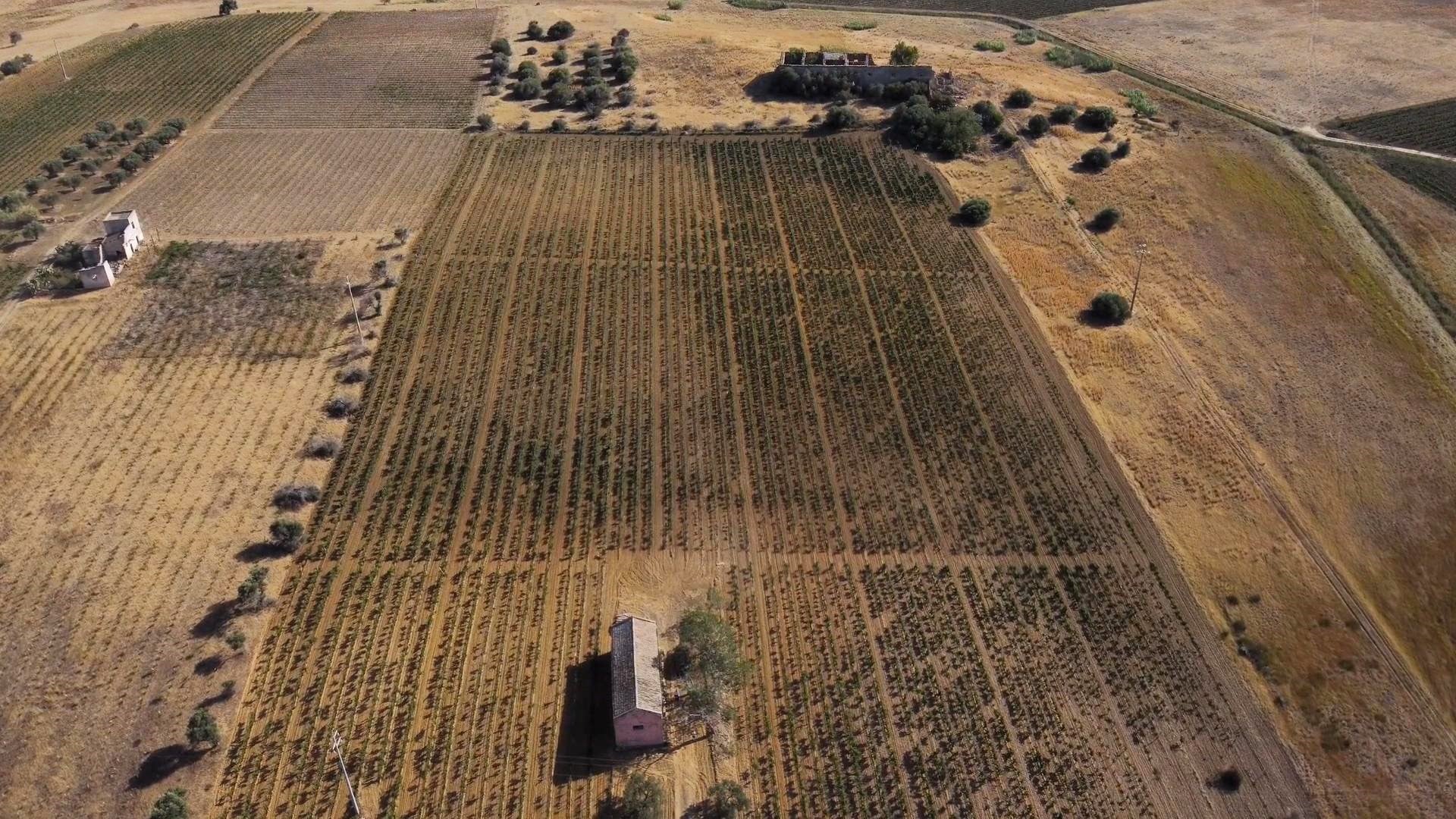 Siccità in Sicilia
