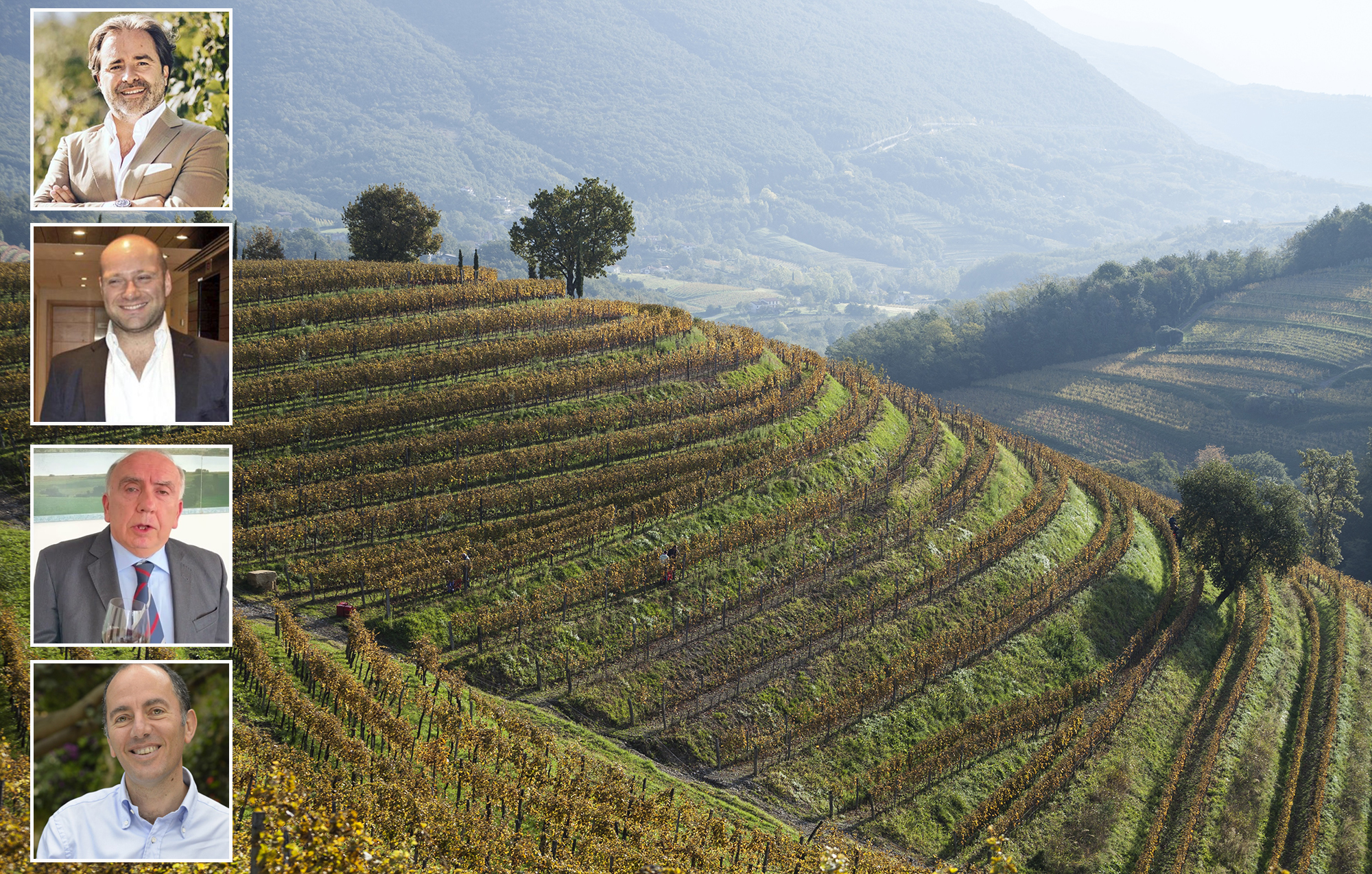 Vendemmia 2024, parlano i presidenti di alcuni consorzi