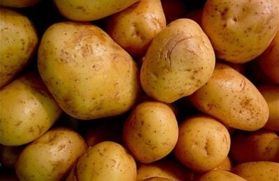 Le patate di montagna