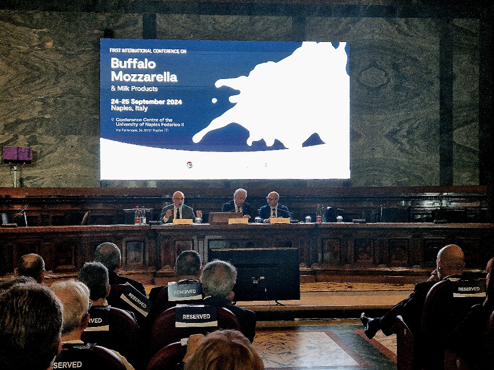 Il congresso a Napoli