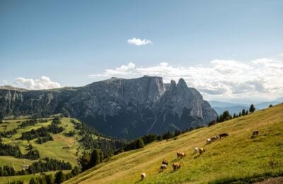 I pascoli dell’Alto Adige