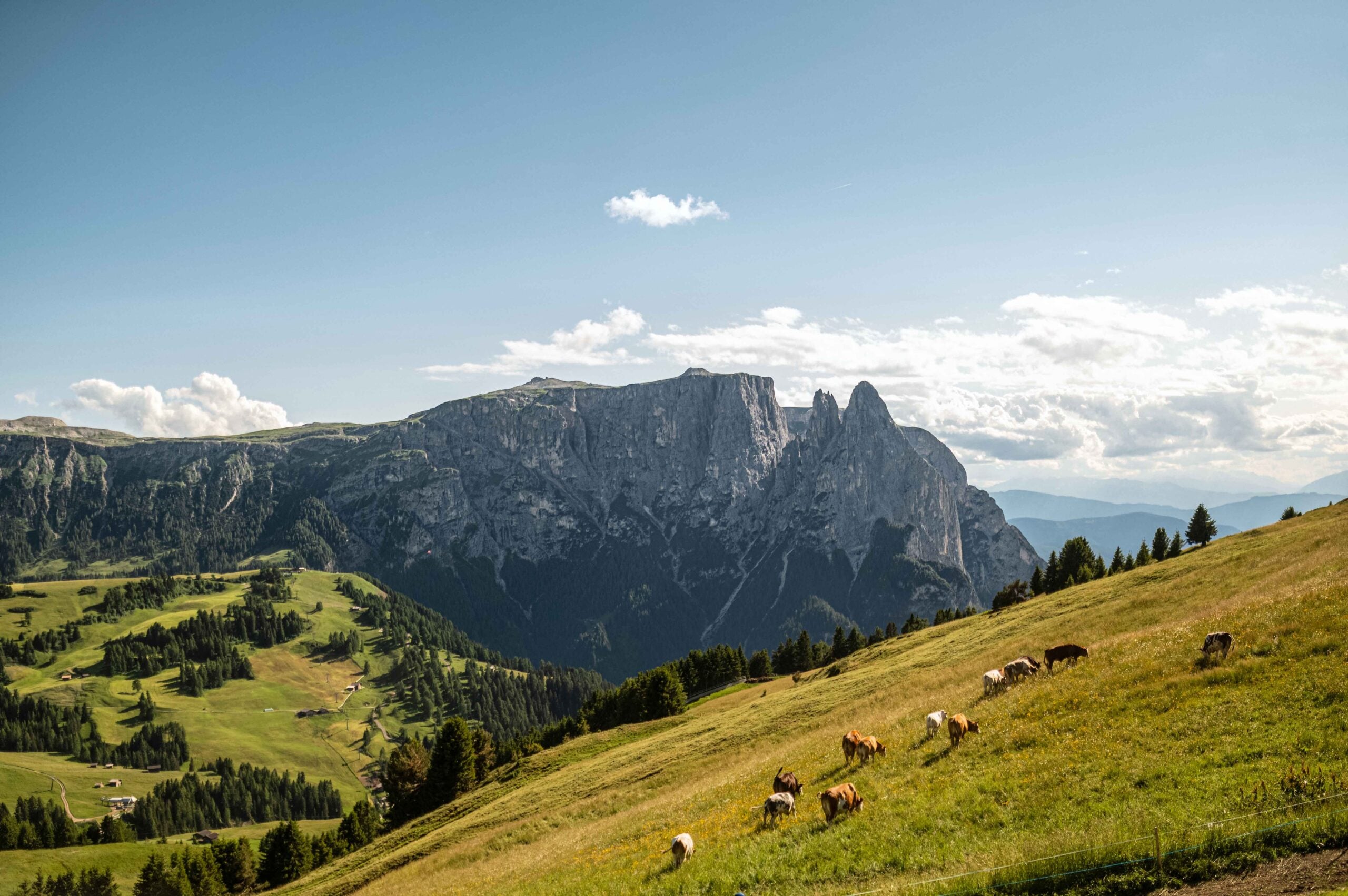 I pascoli dell’Alto Adige