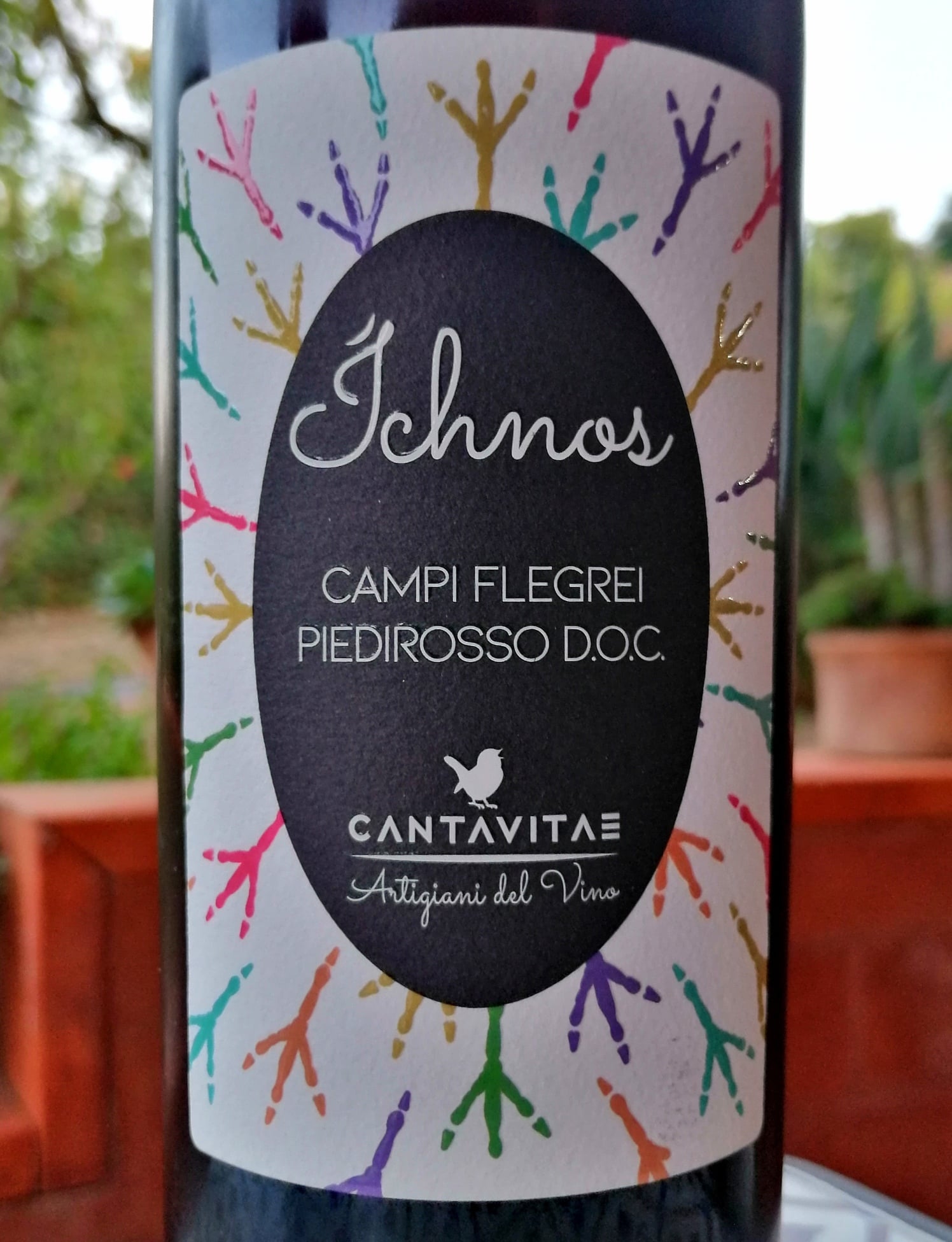 L’etichetta dell’Ichnos 2022