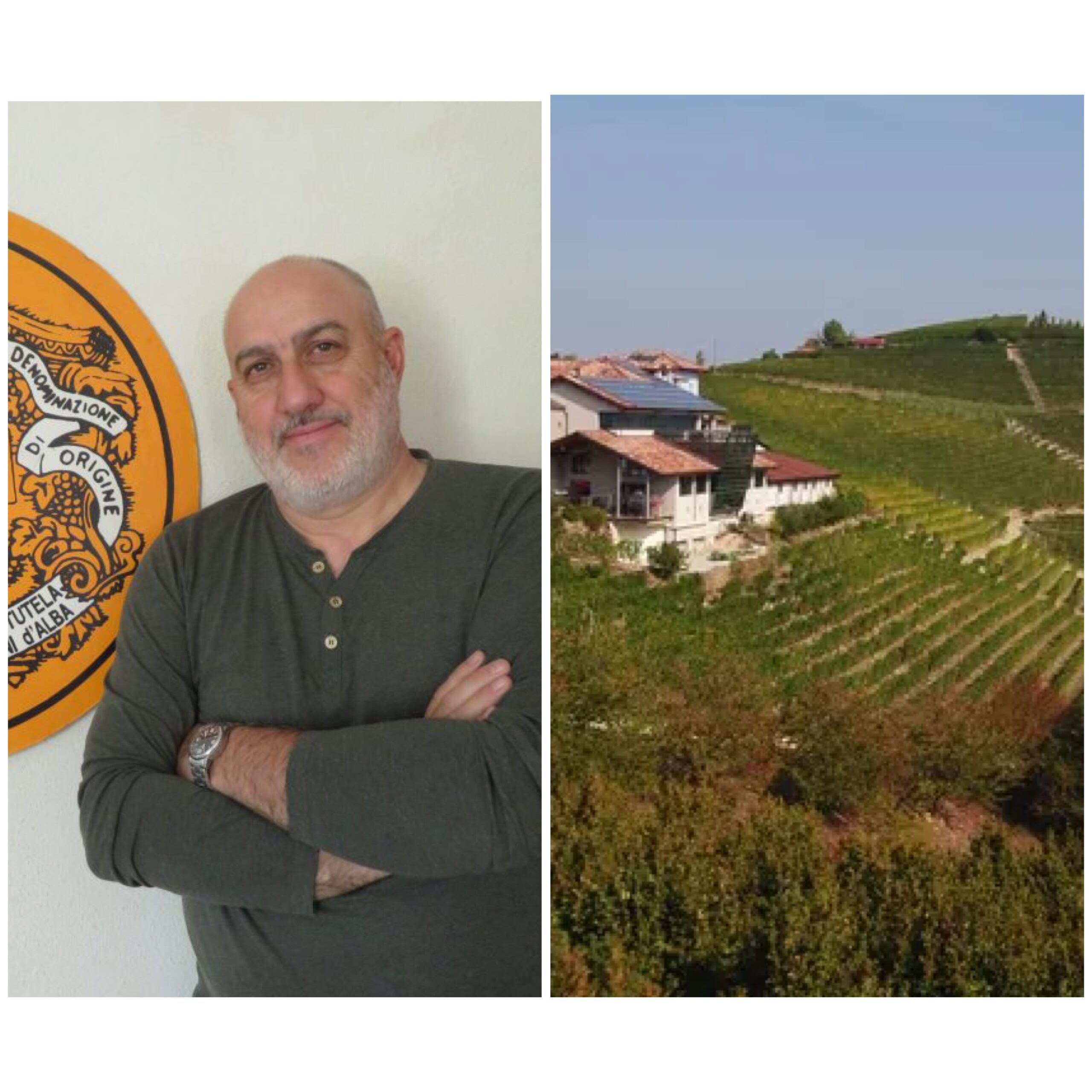presidente del Consorzio Tutela Barolo Barbaresco Alba Langhe e Dogliani e una panoramica di vigneti nelle Langhe