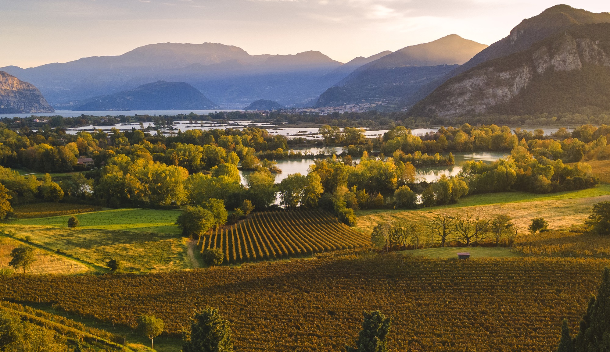 Franciacorta eletta 