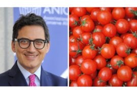 Giovanni De Angelis, direttore generale Anicav, Associazione Nazionale Industriali Conserve Alimentari Vegetali