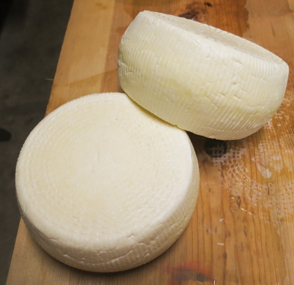 Caciotta del Fermano