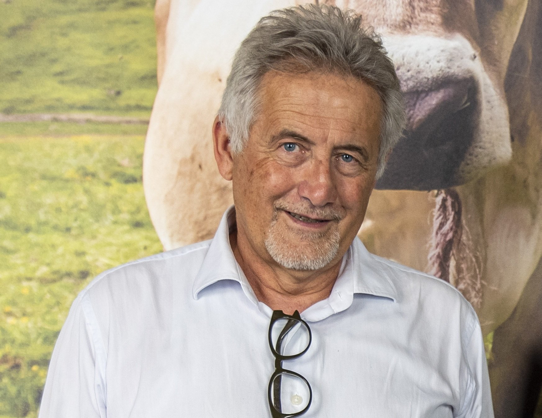 Marco Deghi
