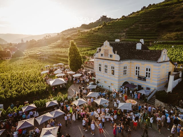 Vigneti e cantina nella Wachau in Austria (Credits Domäne Wachau)