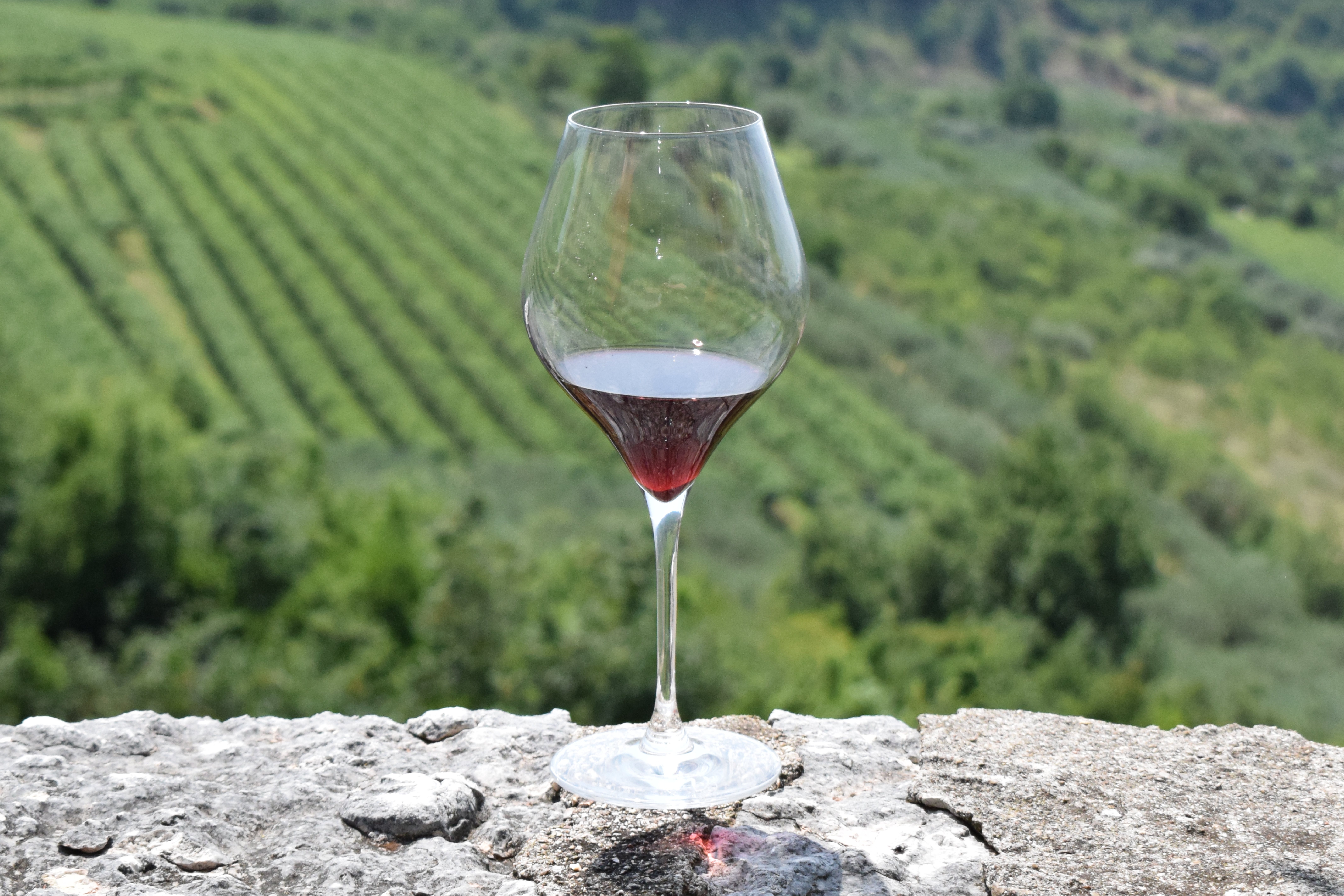 Calice di Amarone nei vigneti della Valpolicella