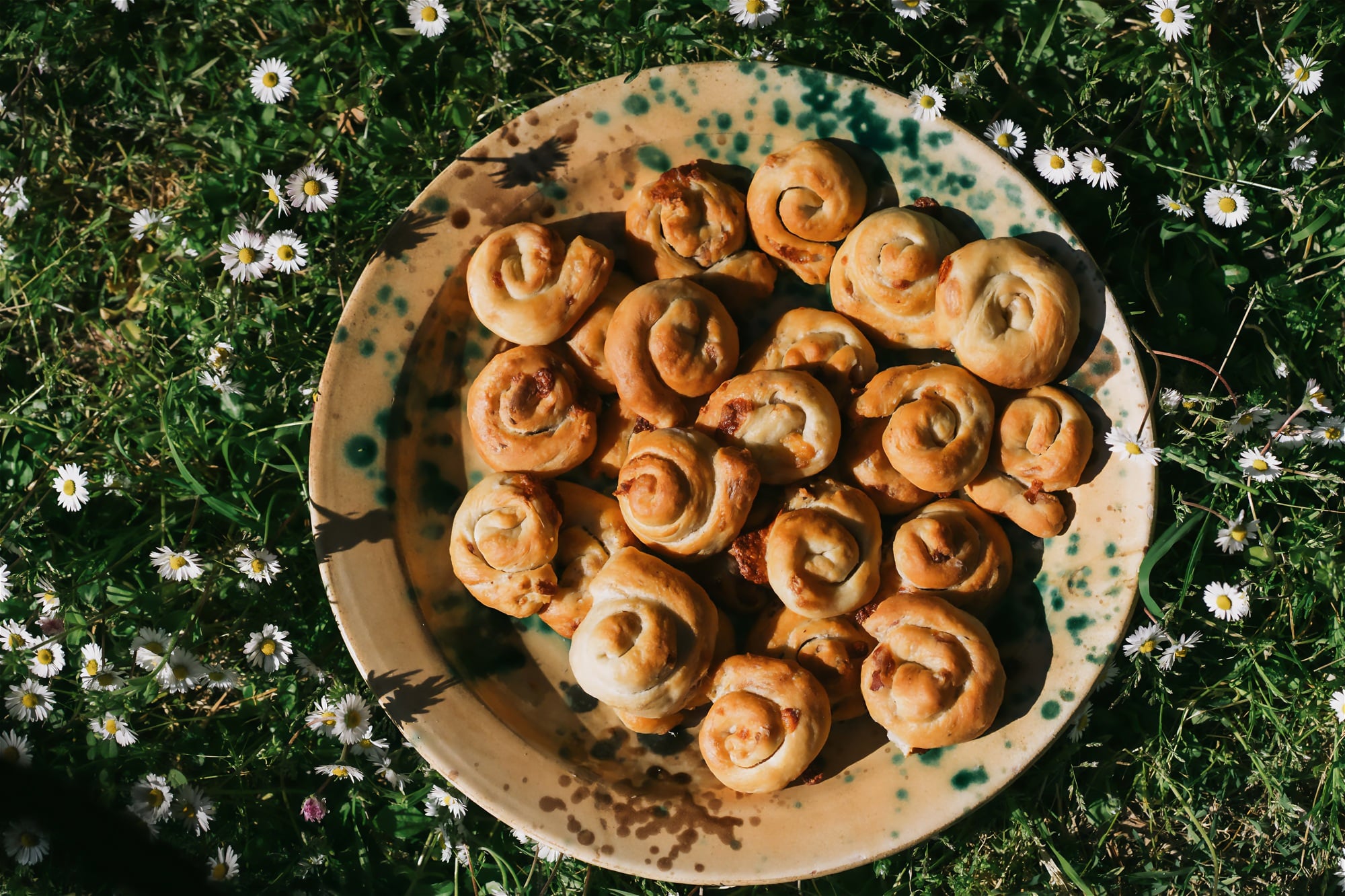 Lumachella orvietana