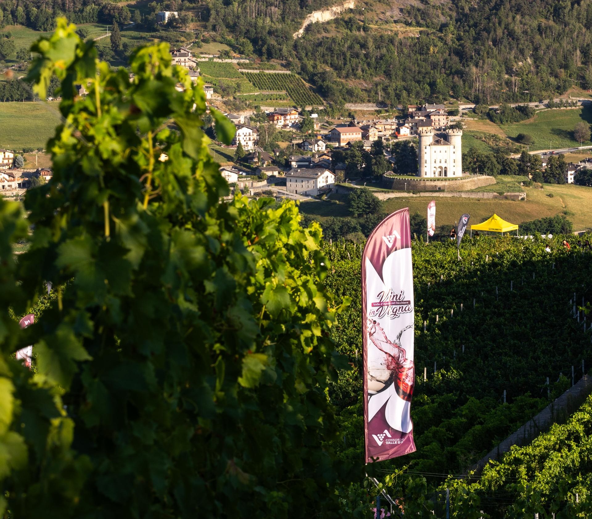 Vigneti in Valle d’Aosta