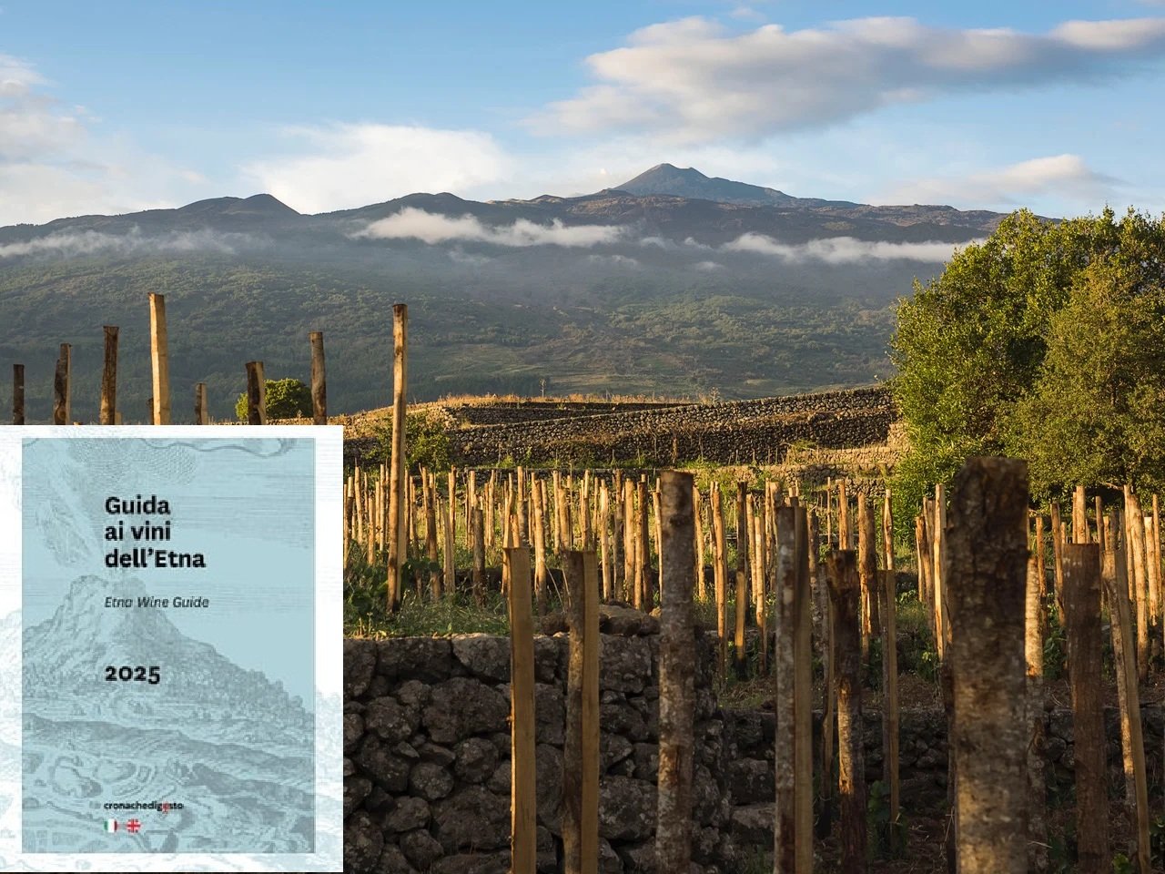 La guida ai vini dell’Etna e i vigneti del Vulcano
