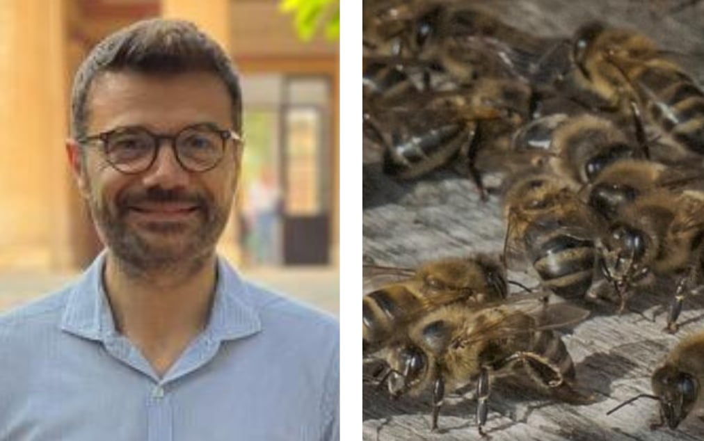 A sx Mario Allegra, docente ordinario di Biochimica dell’Università di Palermo