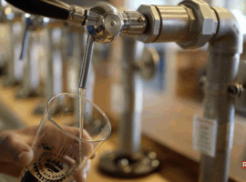 La puntata di Report sulla birra