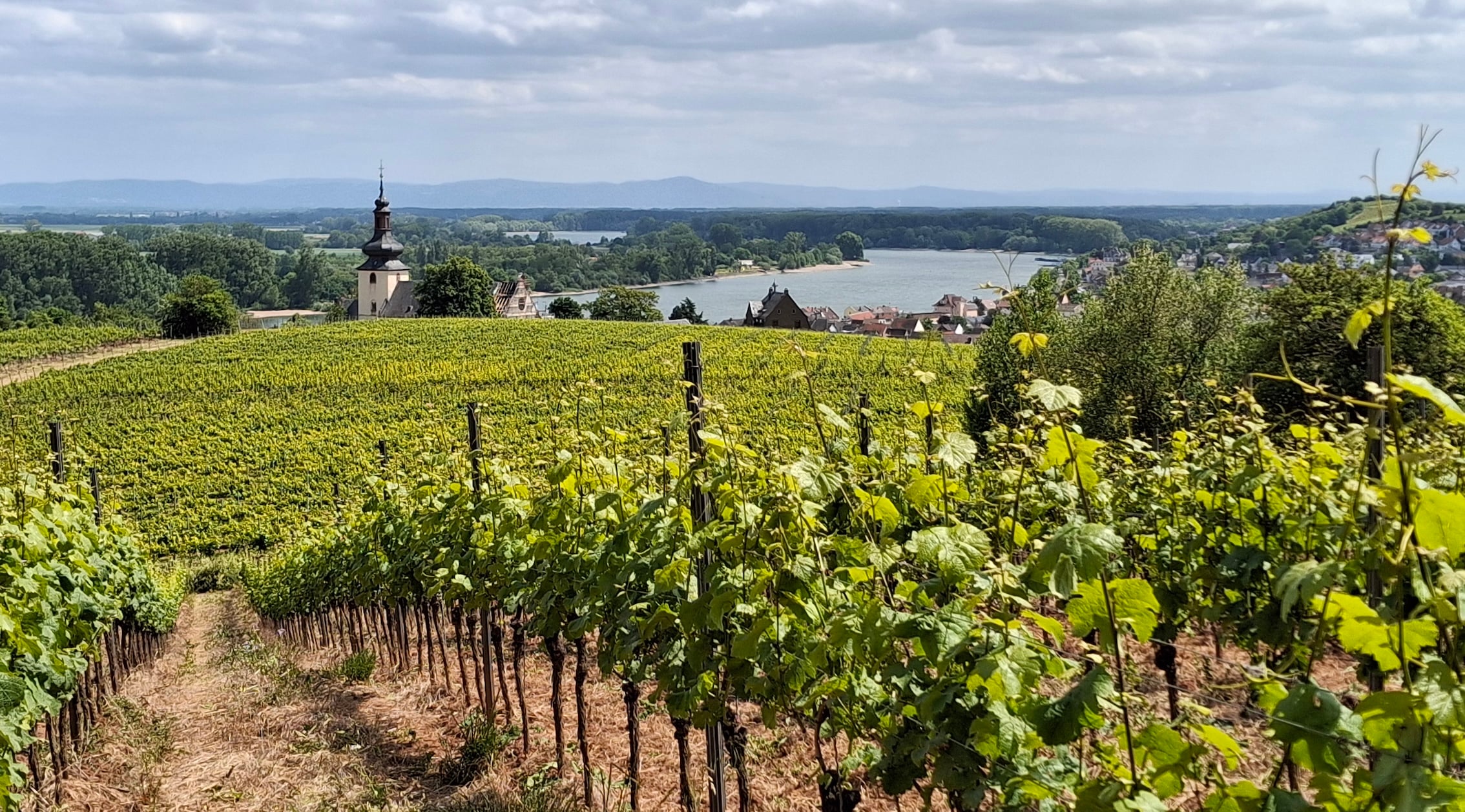 Weingut Kissinger