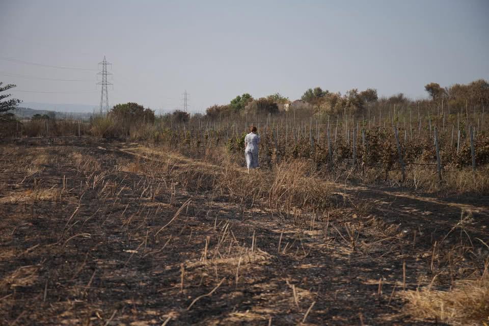 Incendio alla cantina Marilina