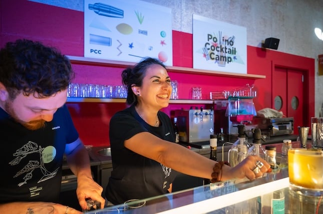 Bartender – Pollino Cocktail Camp