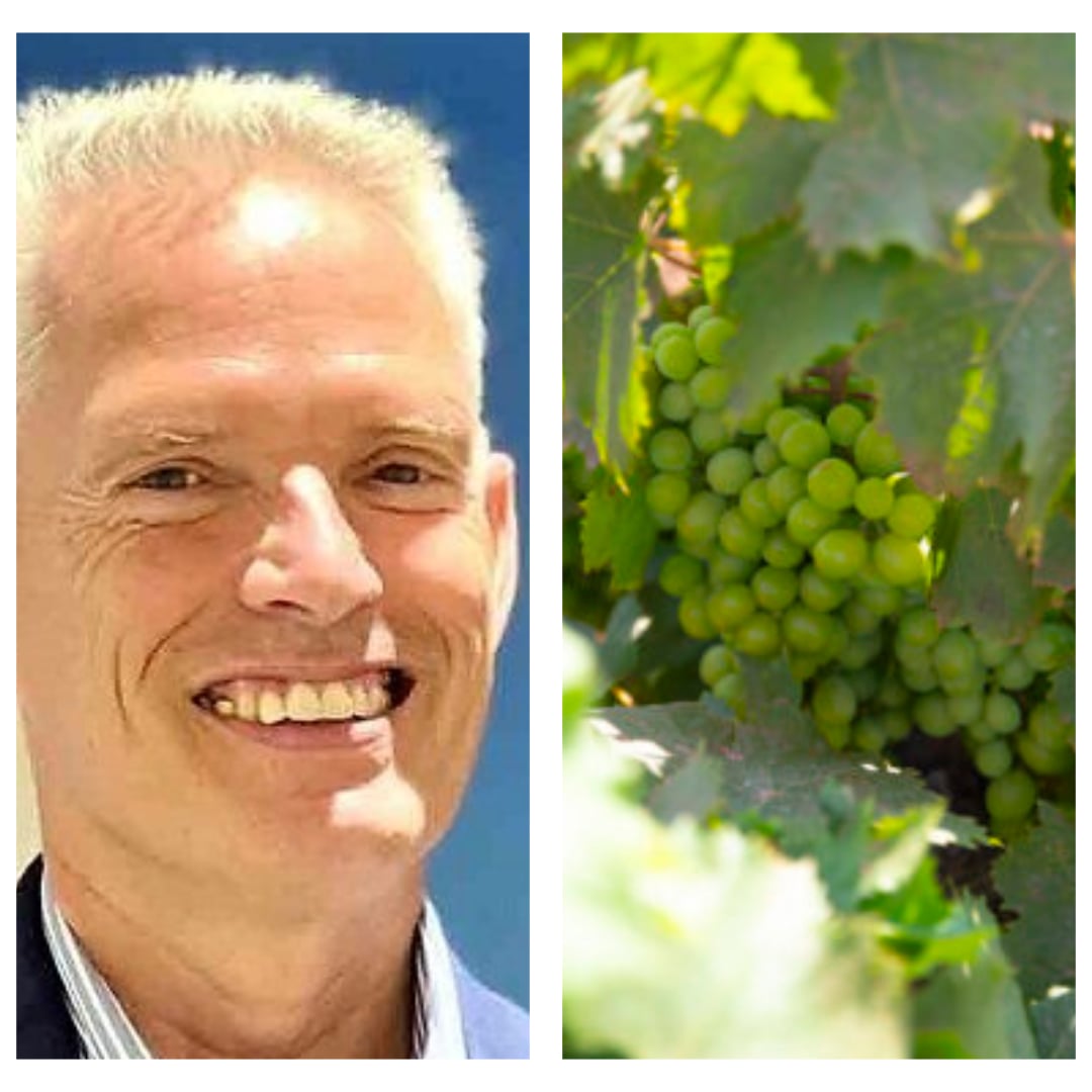 Giangiacomo Gallarati Scotti Bonaldi