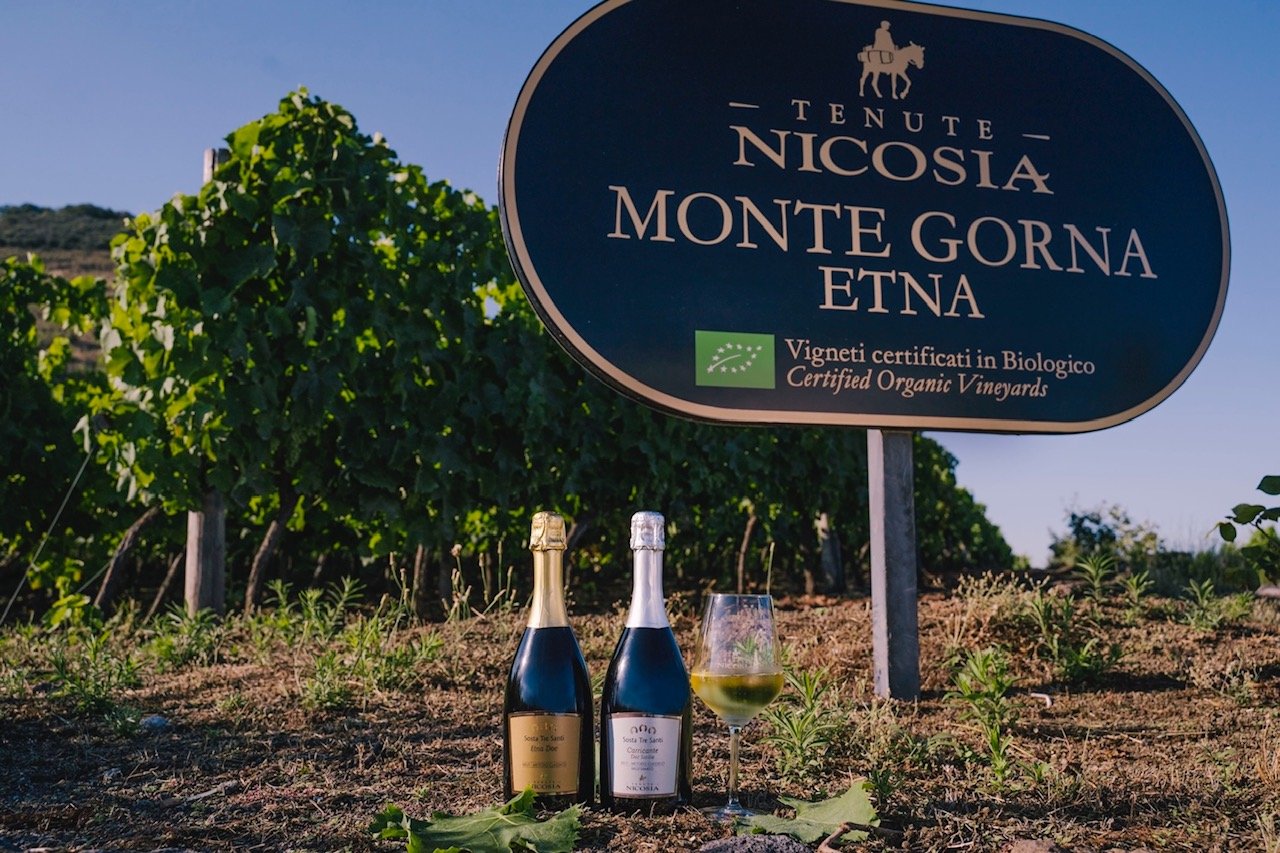 Tenute Nicosia Bolle in Vigna