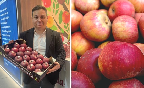 Giuseppe Giaccio, presidente del consorzio Melannurca Campana Igp