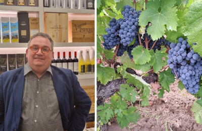 Vinodabere Maurizio Valeriani