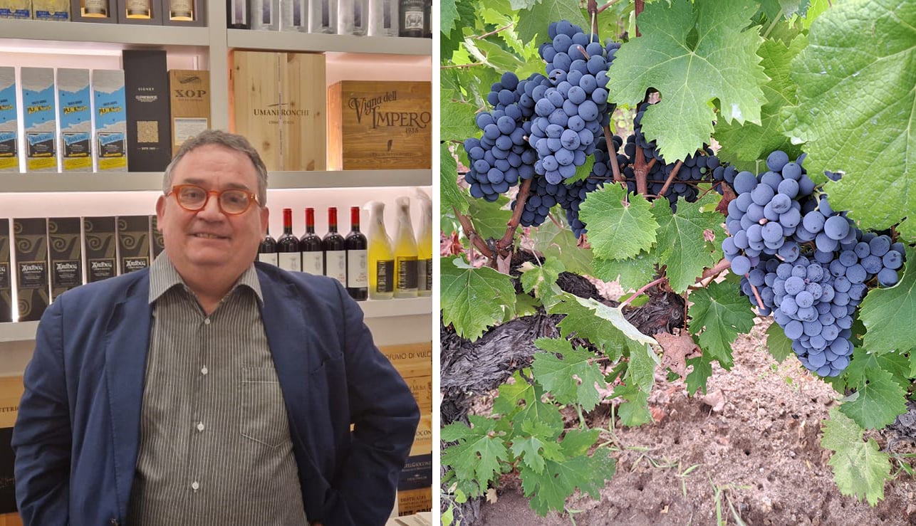 Vinodabere Maurizio Valeriani