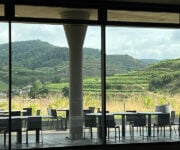 sala degustazione con vista / Franz Keller