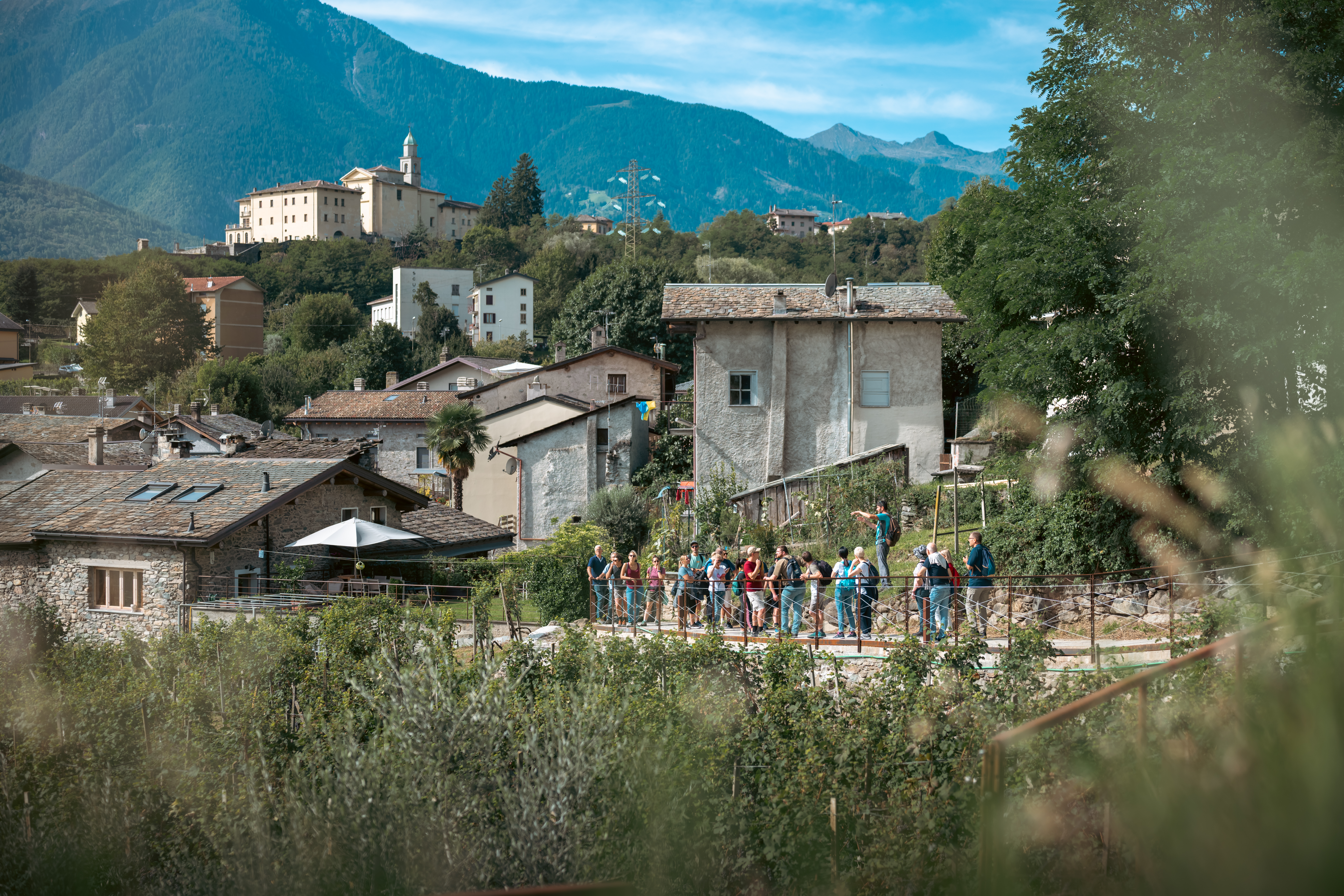 ViVa 2025: la Valtellina si svela tra vigne, storia e Nebbiolo delle Alpi