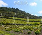 Svelati i Tre Bicchieri 2027 della Sicilia dal Gambero Rosso
