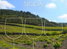 Svelati i Tre Bicchieri 2027 della Sicilia dal Gambero Rosso