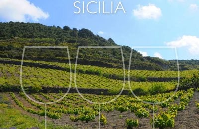 Svelati i Tre Bicchieri 2027 della Sicilia dal Gambero Rosso