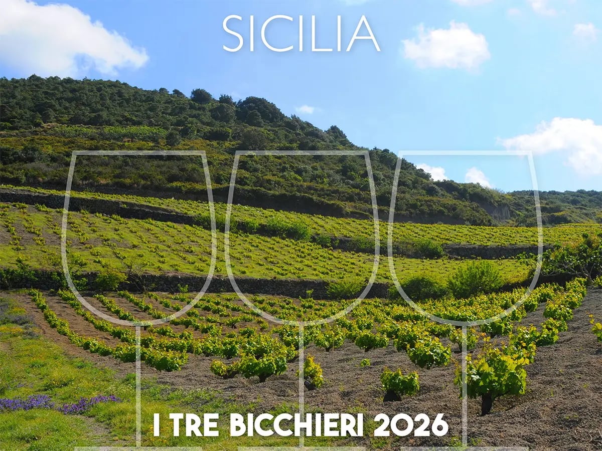 Svelati i Tre Bicchieri 2026 della Sicilia dal Gambero Rosso