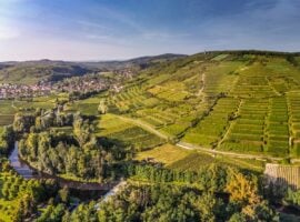 La regione del Kamptal, il Cru “Ried Heiligenstein”. Foto © Austrian Wine