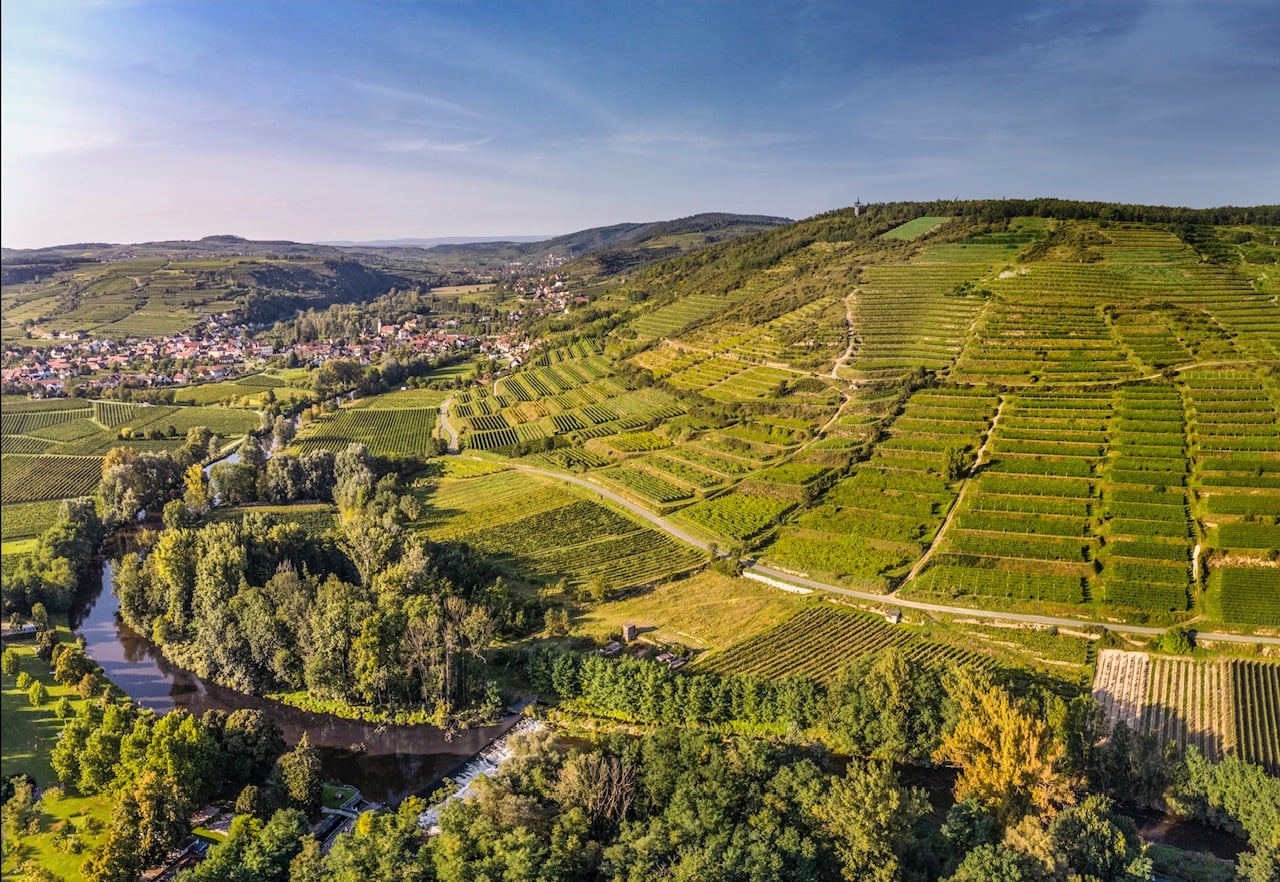 La regione del Kamptal, il Cru “Ried Heiligenstein”. Foto © Austrian Wine