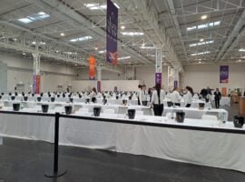 Slow Wine 2025, la degustazione