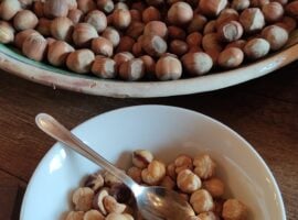 alcune nocciole dell’Etna con e senza guscio