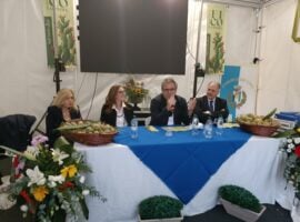 Uno dei talk alla Sagra del ficodindia di San Cono