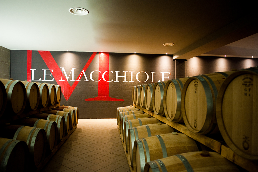 Le Macchiole / Bolgheri