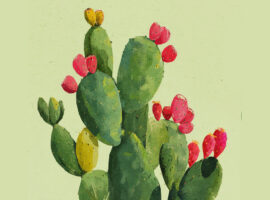 La Sagra del fico d’India di San Cono