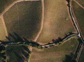 Baglio di Pianetto punta tutto su Santa Cristina Gela e Piana degli Albanesi