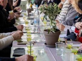 Evoluzione, oli in concorso