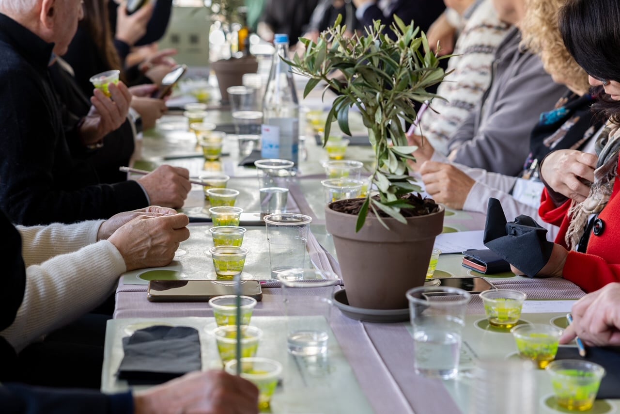 Evoluzione, oli in concorso